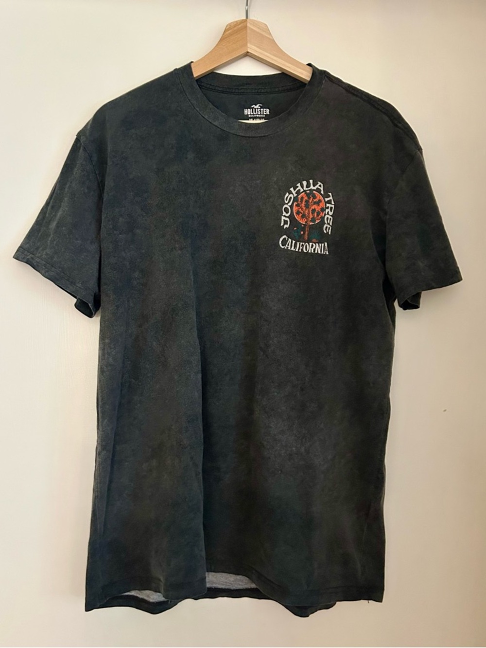 Hollister Men’s Joshua Tree Graphic Tee